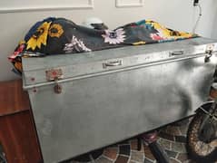 Trunk (peeti 6 feet)