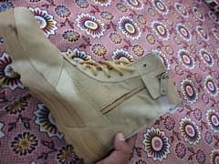 Army DMS long shoes