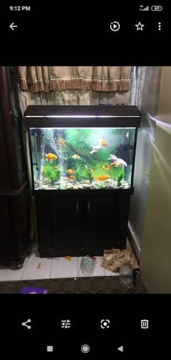 Fish Aquariam for sale