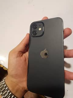 i phone 12