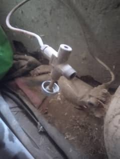 LPG gasket mukmmal  frame and pipe