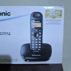 Panasonic