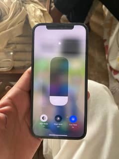 12pro