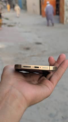 iPhone 13 Pro Max colour golden