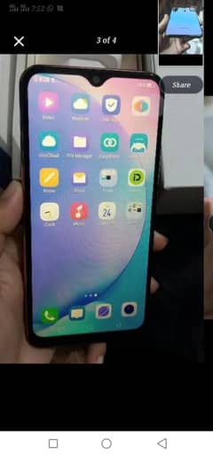 vivo
