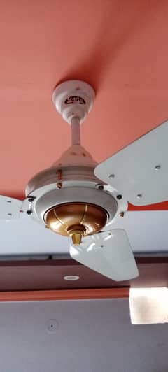 Ceiling Fan Pure 100% Copper