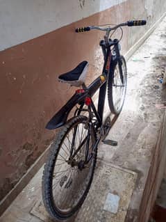 louis cycle double frame