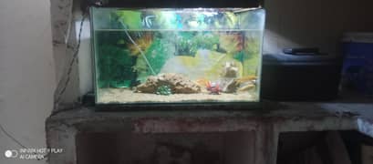 Aquariums and fish tanks