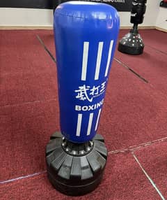 Standing punching bag