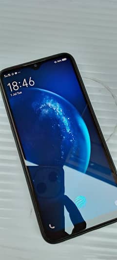 vivo