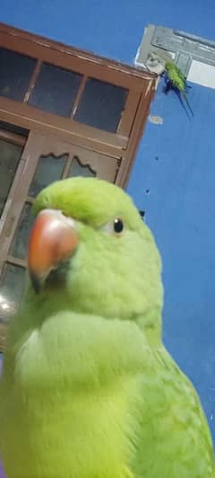 I