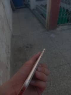 iphone 6, pta approve