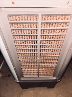 AC DC COOLER 1 month used