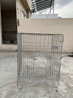 Birds and hen cages