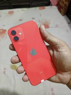 apple