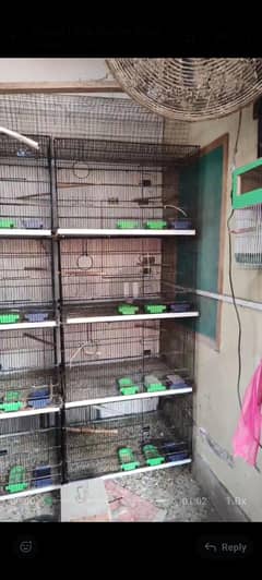 Cage - Large size birds cage - 4 sections