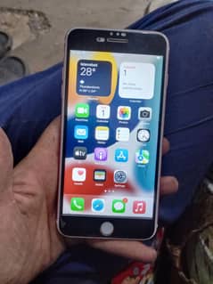 iPhone 7 plus 256 gb factory unlocked