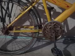 Safari bicycle 2024 model