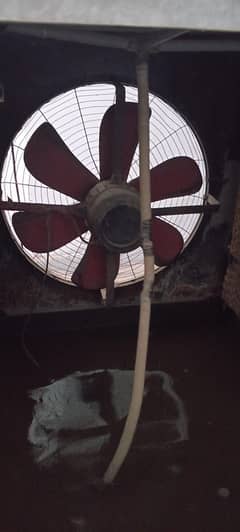 cooler urgent sale condition 10 by 8