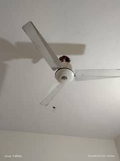 celeing fan