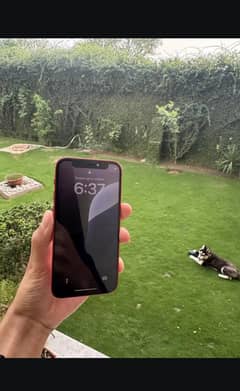 iphone12