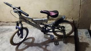 Baby Cycle Shocks