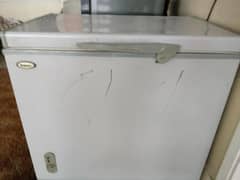 Best Working Freezer