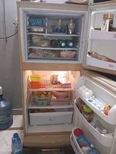 Pel refrigerator for sell