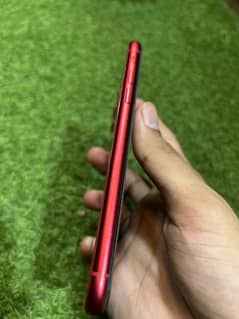 iPhone 11 PTA proof