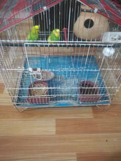 Cages