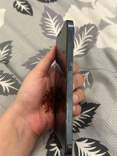 Iphone 12 pro max dual pta approved