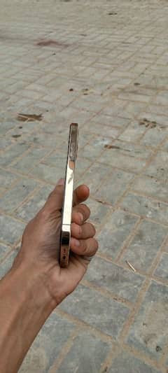 iphone 12pro max