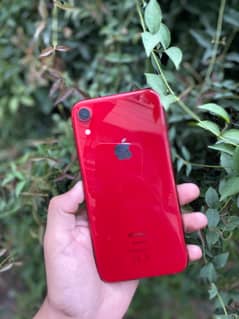 iPhone XR Non-PTA