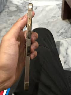 iphone 12 pro max 128 gb pta approved