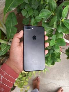 7plus