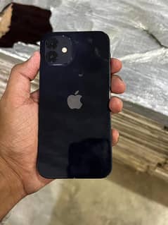 iPhone 12 PTA approved