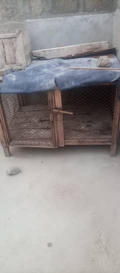 Hen's Cage