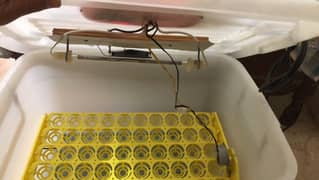 60 eggs hatching automatic machine