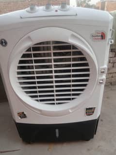 new color with 2year motor warranty