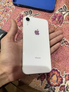 iPhone xr