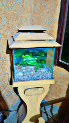 fishing house with all tools, without fishes