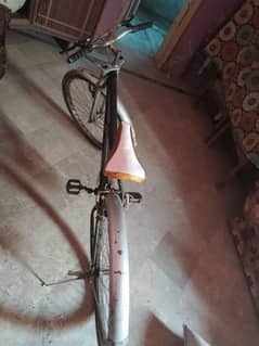 cycle