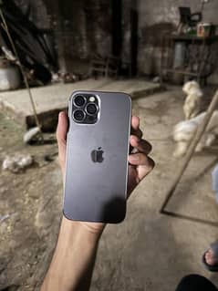 Iphone 12pro max