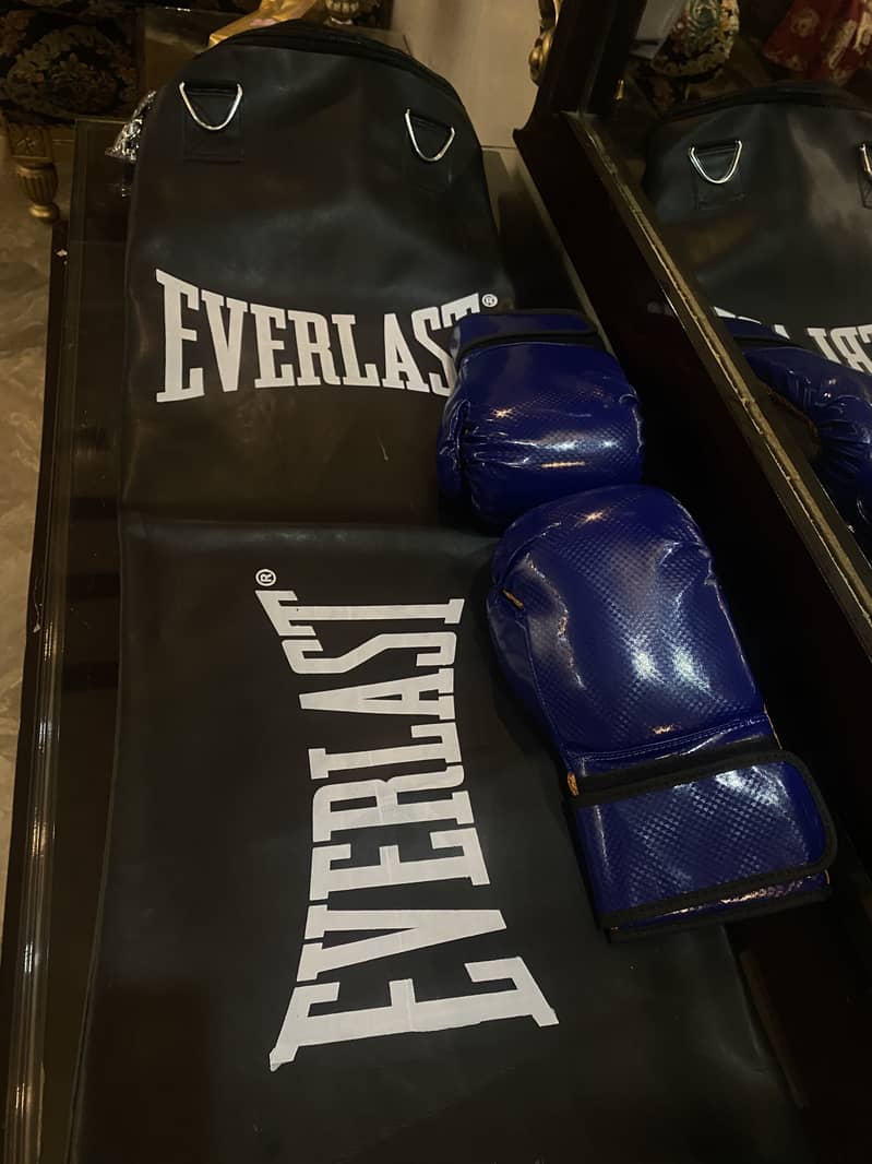 Punching bag 7