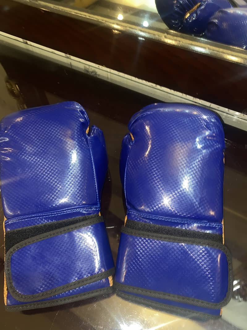 Punching bag 9