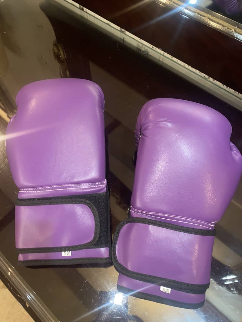 Punching bag 11