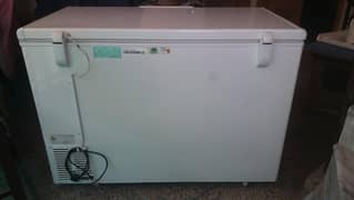 Haier