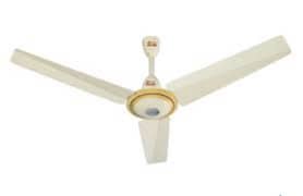 ceiling fans 220 wlt