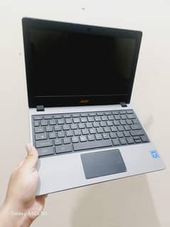 Acer