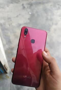 Vivo